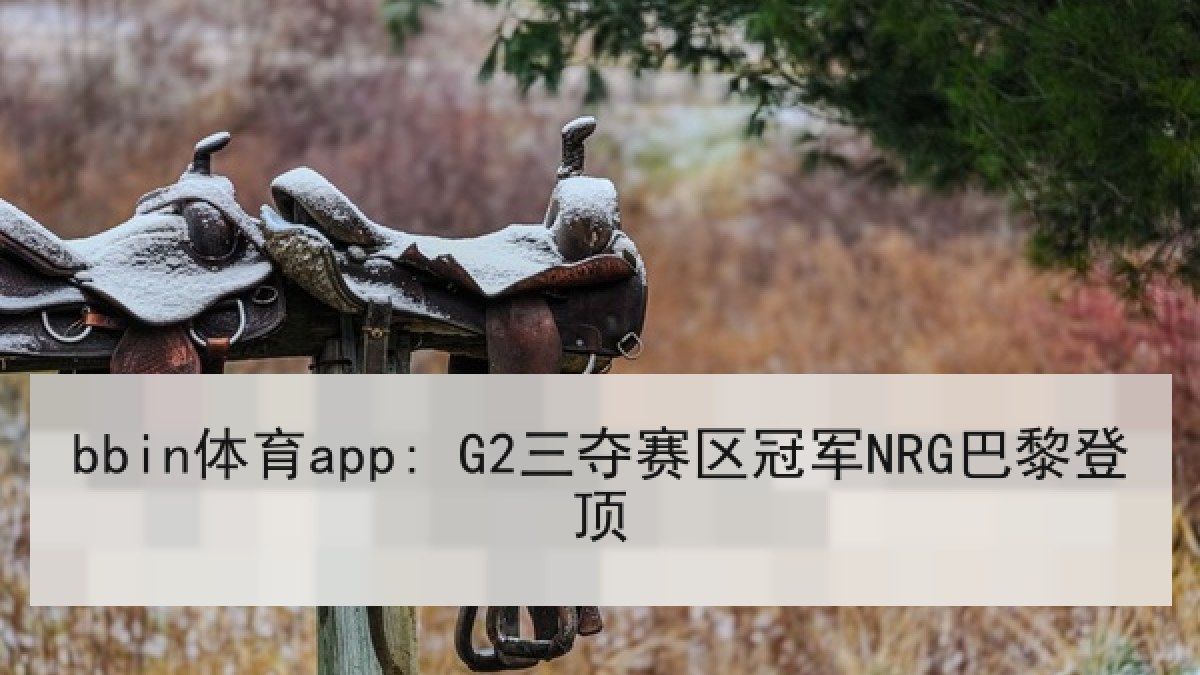 bbin体育app: G2三夺赛区冠军NRG巴黎登顶