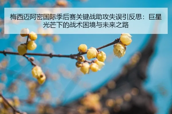 mei-xi-mai-a-mi-guo-ji-ji-hou-sai-guan-jian-zhan-zhu-gong-shi-wu-yin-fan-si-ju-xing-guang-mang-xia-de-zhan-shu-kun-jing-2-570.jpg