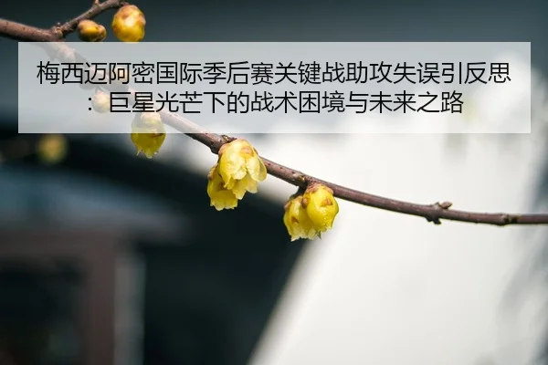 mei-xi-mai-a-mi-guo-ji-ji-hou-sai-guan-jian-zhan-zhu-gong-shi-wu-yin-fan-si-ju-xing-guang-mang-xia-de-zhan-shu-kun-jing-3-717.jpg