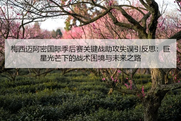 梅西迈阿密国际季后赛关键战助攻失误引反思：巨星光芒下的战术困境与未来之路
