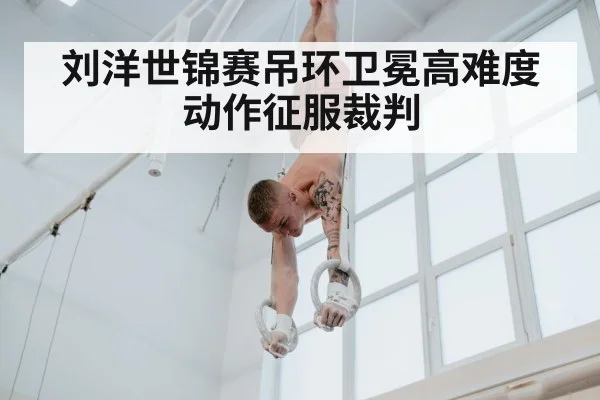 刘洋世锦赛吊环卫冕高难度动作征服裁判