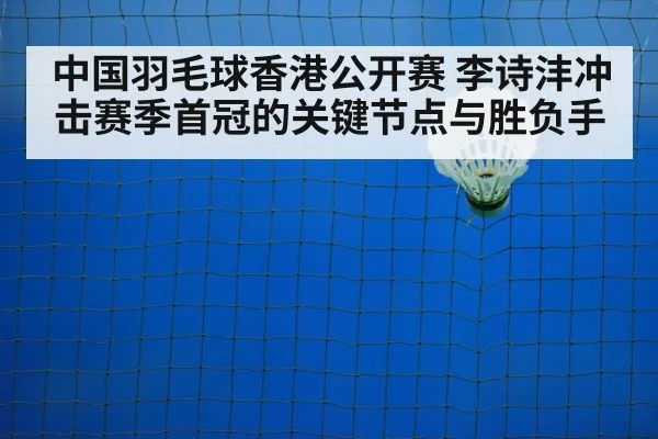 badminton court net