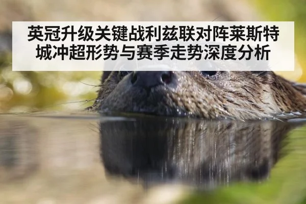 英冠升级关键战利兹联对阵莱斯特城冲超形势与赛季走势深度分析